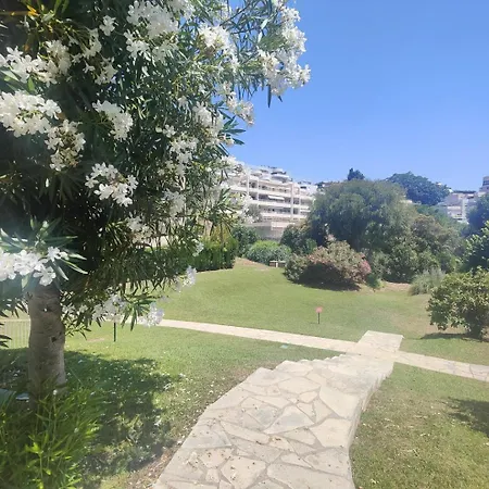 - Terrasse Et Jardinet - Piscine